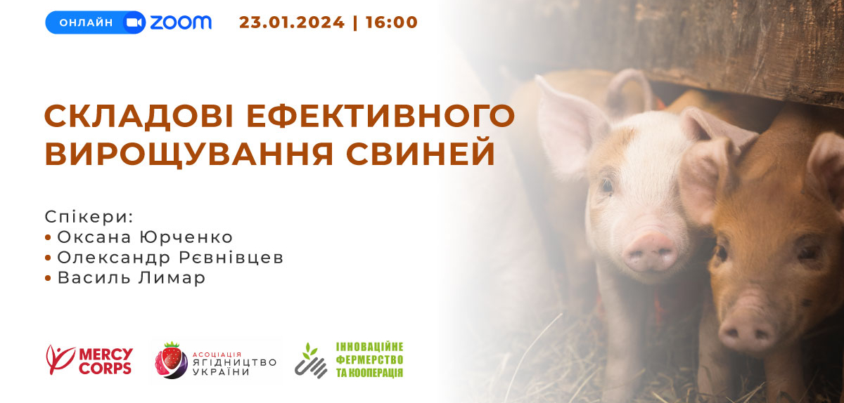 Запрошуємо на безкоштовний вебінар "Складові ефективного вирощування свиней"