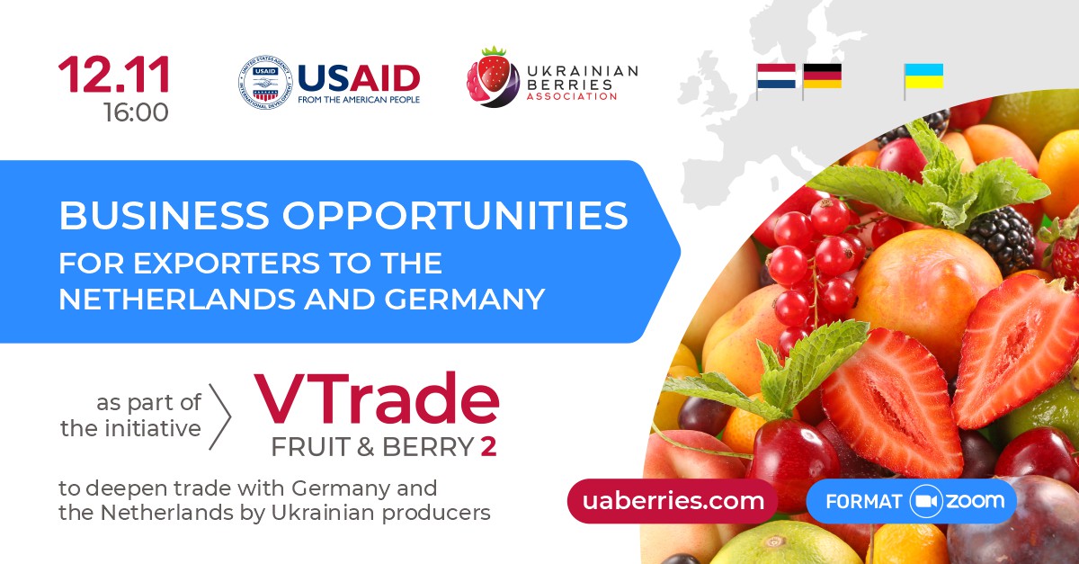 Webinar: Business opportunities for exporters to the Netherlands and Germany