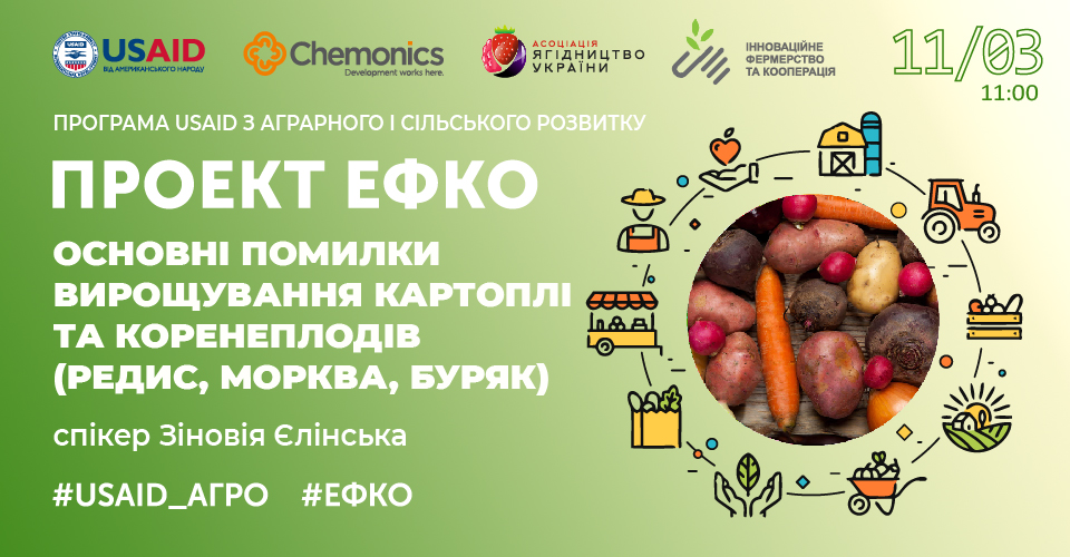 Основні помилки вирощування картоплі та коренеплодів (редис, морква, буряк)