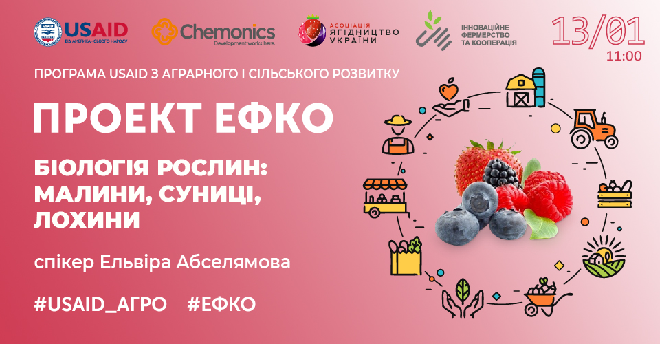 Біологія рослин малини, суниці, лохини