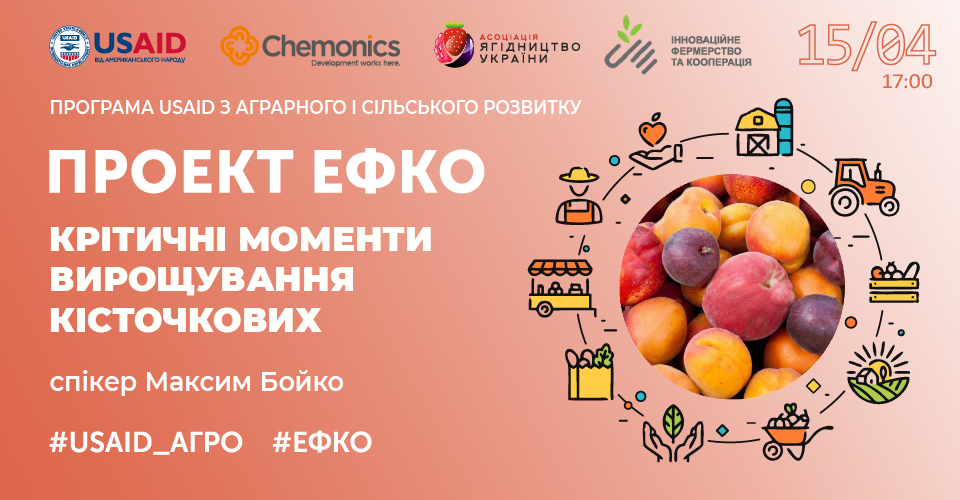 Критичні моменти вирощування кісточкових на прикладі абрикоса і персика