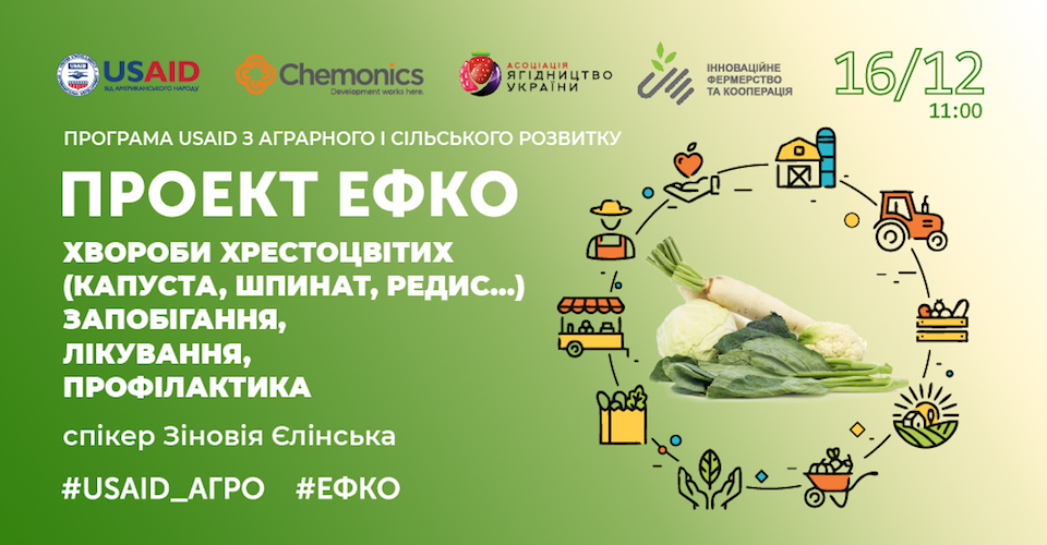 Тренінг Хвороби хрестоцвітих (капуста, шпинат, редис..) Запобігання, лікування, профілактика