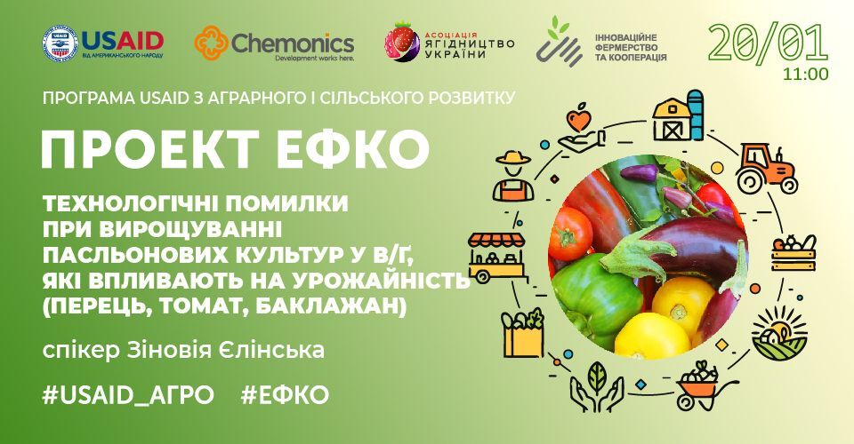 Технологічні помилки при вирощуванні пасльонових культур у відкритому ґрунті, які впливають на урожайність (перець, томат, баклажан)
