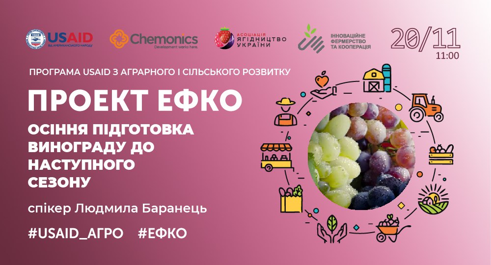 Тренінг в рамках проекту #ЕФКО 