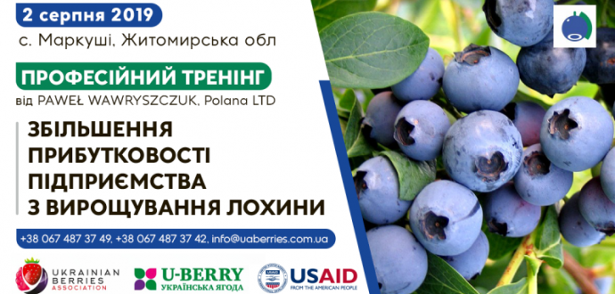 Збільшення прибутковості підприємства з вирощування лохини