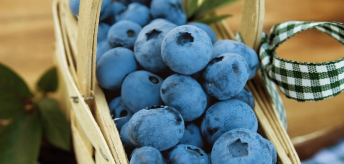Країни Південної півкулі експортували рекордний обсяг лохини