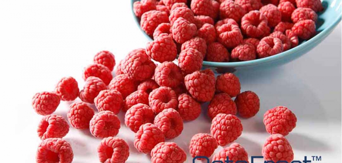 Попит на заморожені продукти в умовах COVID-19 активно зростає - OctoFrost