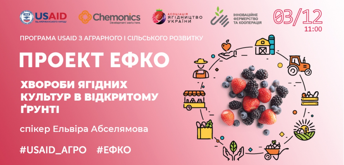 Проект #ЕФКО: відкрито реєстрацію на тренінг "Хвороби ягідних культур в відкритому ґрунті" 