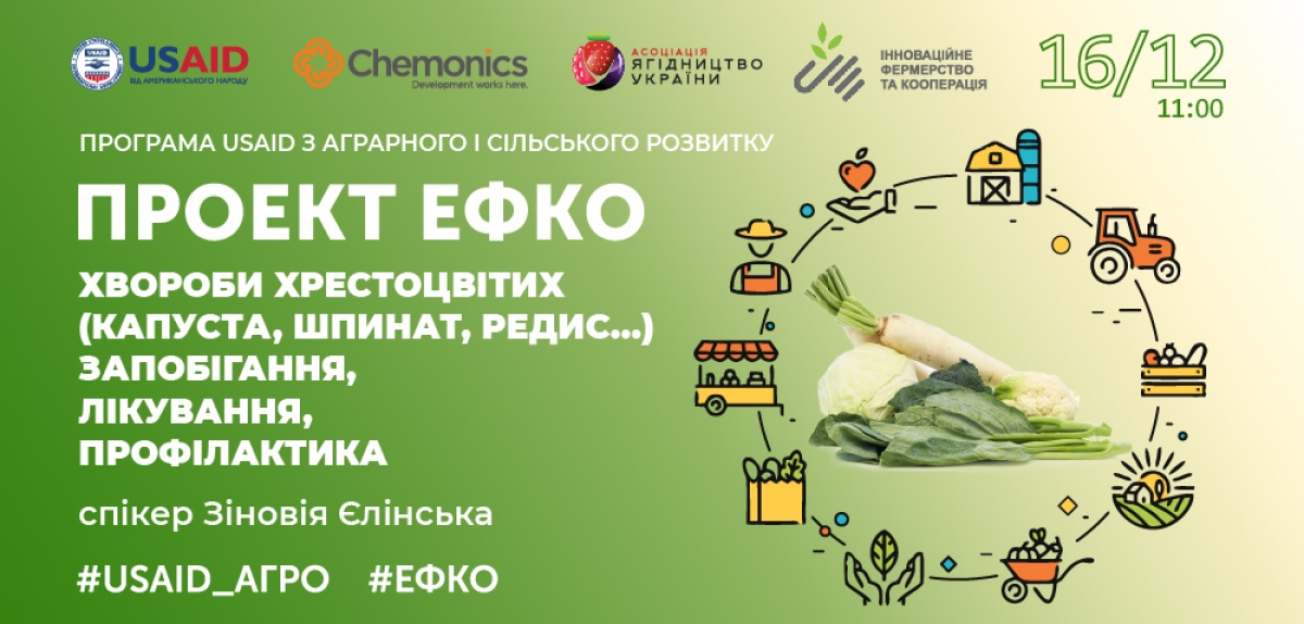 Проект #ЕФКО. Продовжується реєстрація на тренінг "Хвороби хрестоцвітих (капуста, шпинат, редис). Запобігання, лікування, профілактика"   