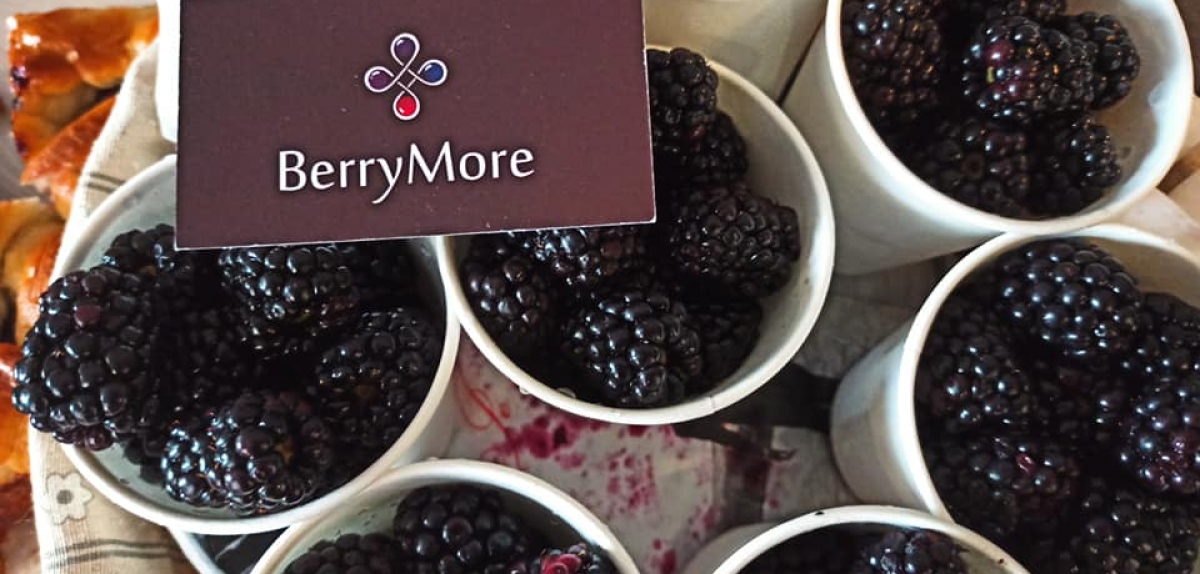 До Асоціації «Ягідництво України» приєдналась компанія BerryMore Activ! 