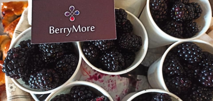 До Асоціації «Ягідництво України» приєдналась компанія BerryMore Activ! 