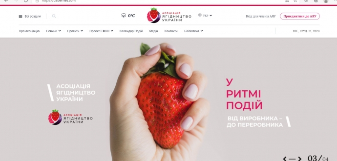 Асоціація «Ягідництво України» зустрічатиме Новий рік з новим сайтом!