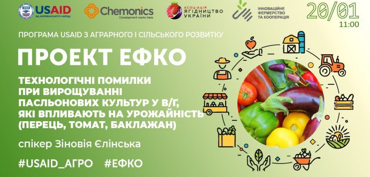 Проєкт #ЕФКО: відбувся тренінг «Технологічні помилки при вирощуванні пасльонових культур у в/ґ, які впливають на урожайність (перець, томат, баклажан)» 