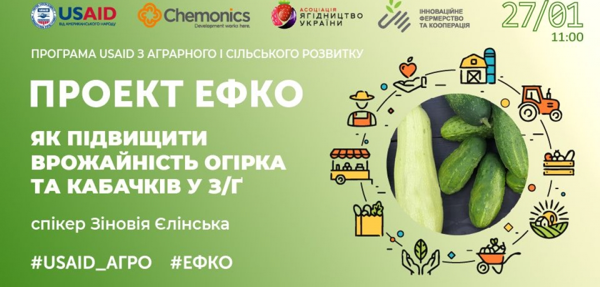 Проєкт #ЕФКО: відбувся тренінг «Як підвищити врожайність огірка та кабачків у закритому ґрунті?»