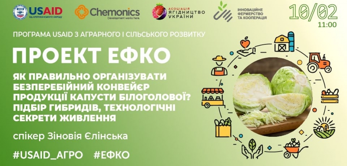Проєкт #ЕФКО: відбувся тренінг «Як правильно організувати безперебійний конвеєр продукції капусти білоголової? Підбір гібридів, технологічні секрети живлення »