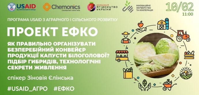 Проєкт #ЕФКО: відбувся тренінг «Як правильно організувати безперебійний конвеєр продукції капусти білоголової? Підбір гібридів, технологічні секрети живлення »