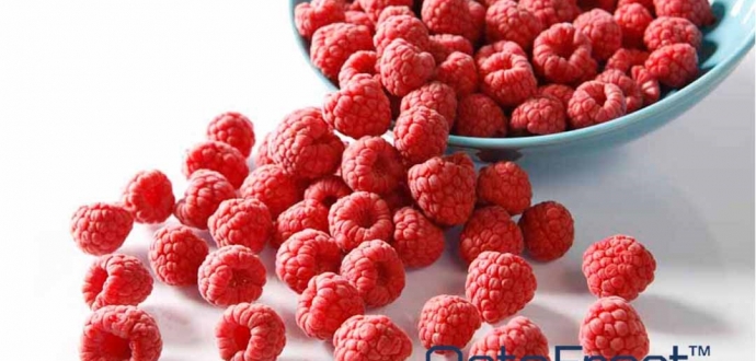 Сould iqf food be a viable solution for a sustainable future?
