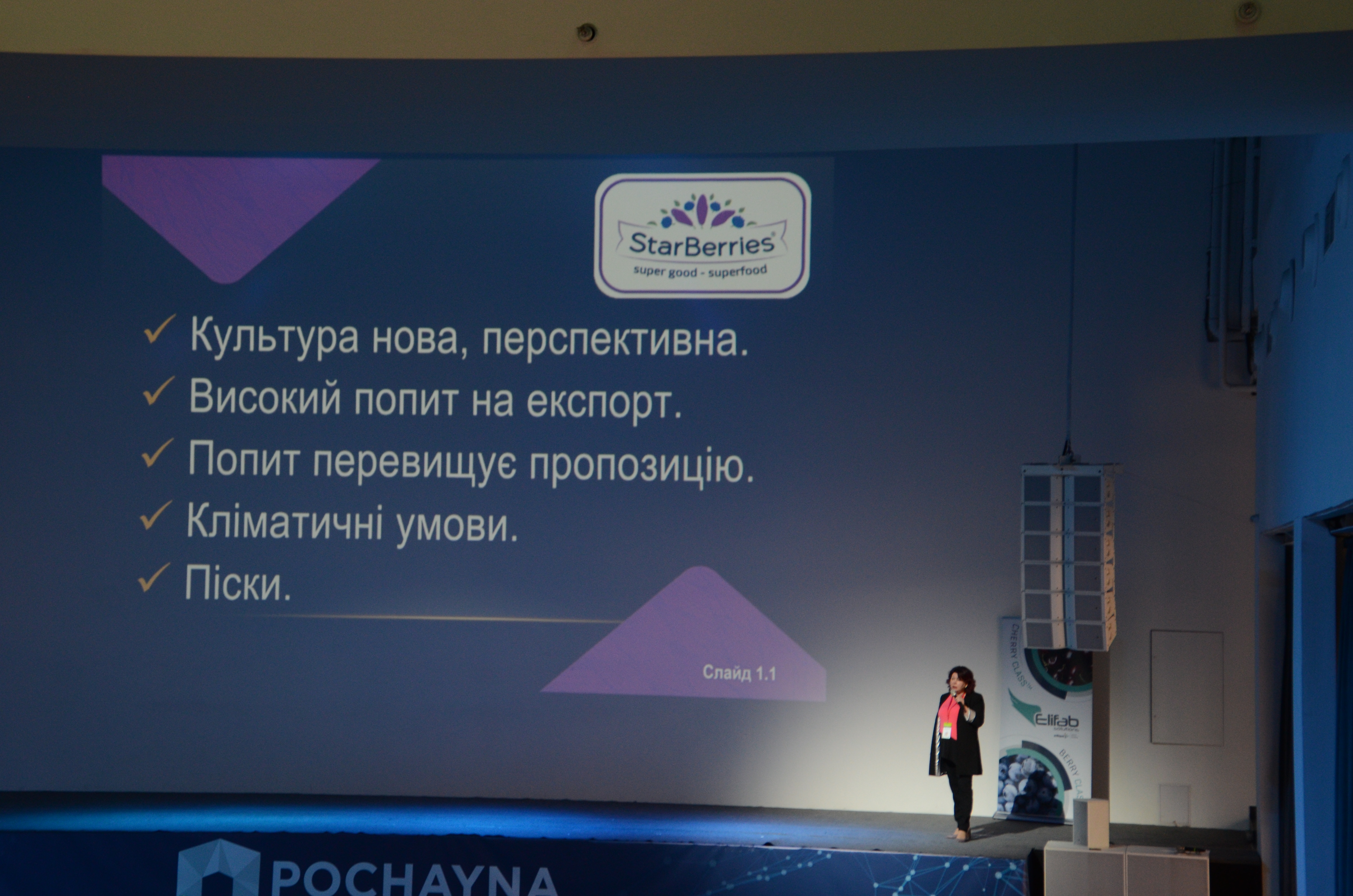 Виробникам ягід необхідні роботи та нові сорти – Олена Воробйова