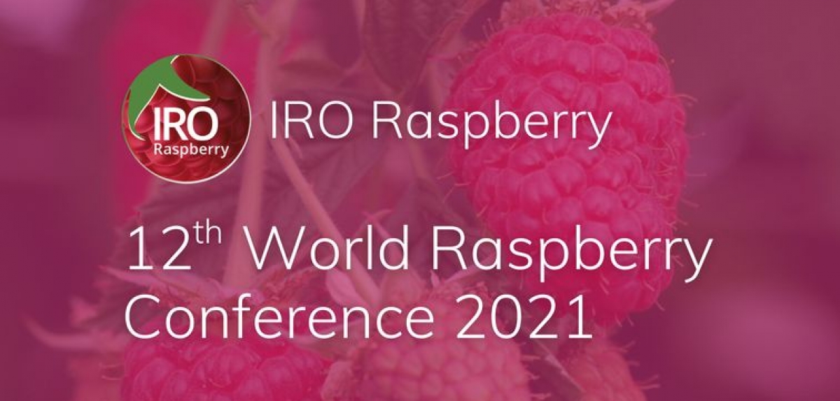 Ukrainian Berries Association take part in the 12th World Raspberry Conference IRO