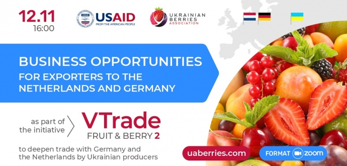 Webinar: Business opportunities for exporters to the Netherlands and Germany
