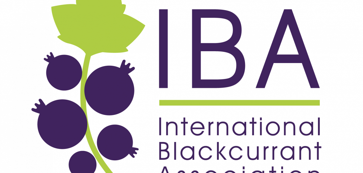Лише 3 дні до завершення реєстрації на Зустріч виробників IBA 2023 