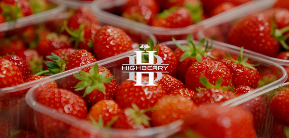 Полуниця від highberry