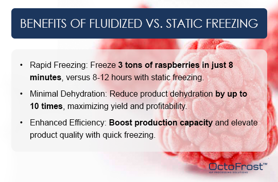 Тунельна морозильна камера OctoFrost IQF