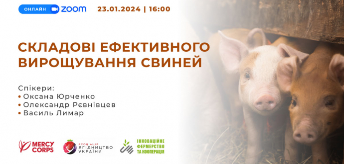 Запрошуємо на безкоштовний вебінар "Складові ефективного вирощування свиней"