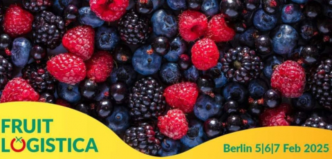Виставка Fruit Logistica 2024