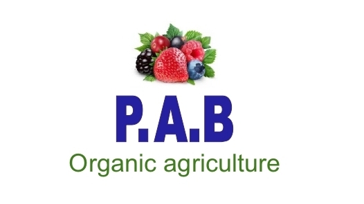 PAB