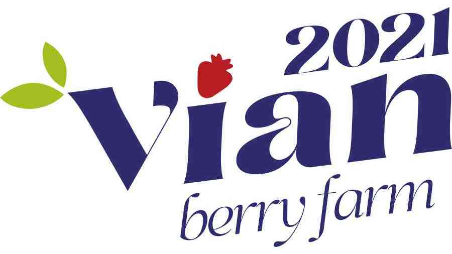 Vian