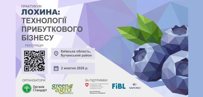 Від 2016-го до 2026-го: як змінився бізнес із вирощування лохини?