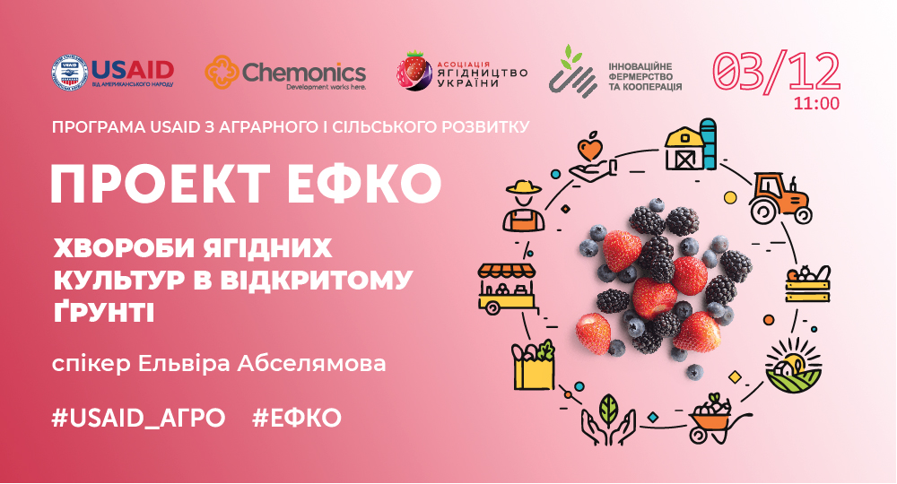 Тренінг «Хвороби ягідних культур в відкритому ґрунті» в рамках проекту #ЕФКО