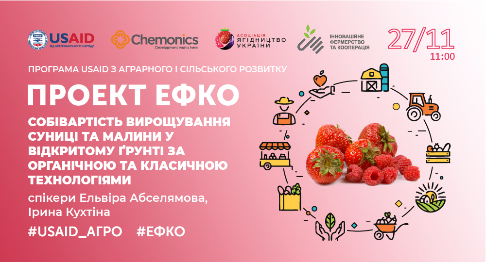 Тренінг проєкту #ЕФКО «Собівартість вирощування суниці та малини у відкритому грунті за органічною та класичною технологіями»