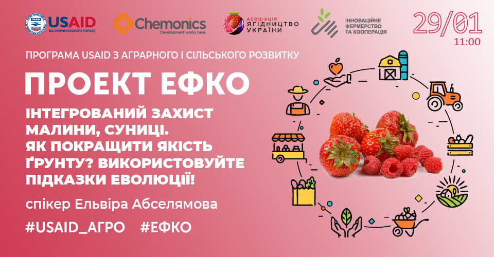 Інтегрований захист малини, суниці Як покращити якість ґрунту? Використовуйте підказки еволюції!  