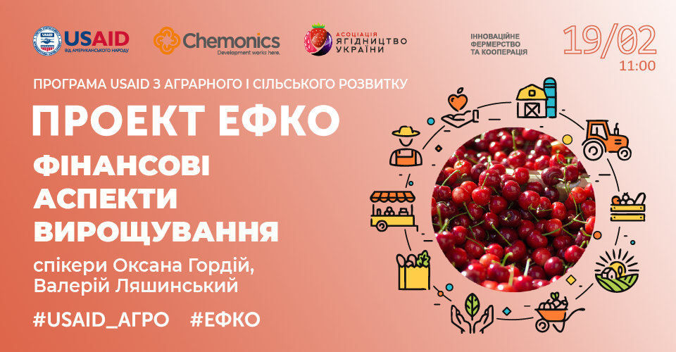  Фінансові аспекти вирощування кісточкових а прикладі черешні та вишні