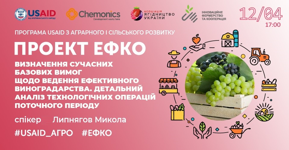 Визначення сучасних базових вимог щодо ведення ефективного виноградарства. 