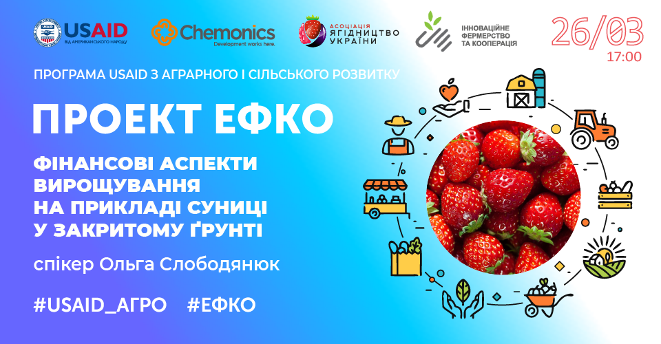 Фінансові аспекти вирощування суниці в закритому ґрунті