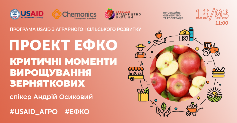 Критичні моменти вирощування зерняткових