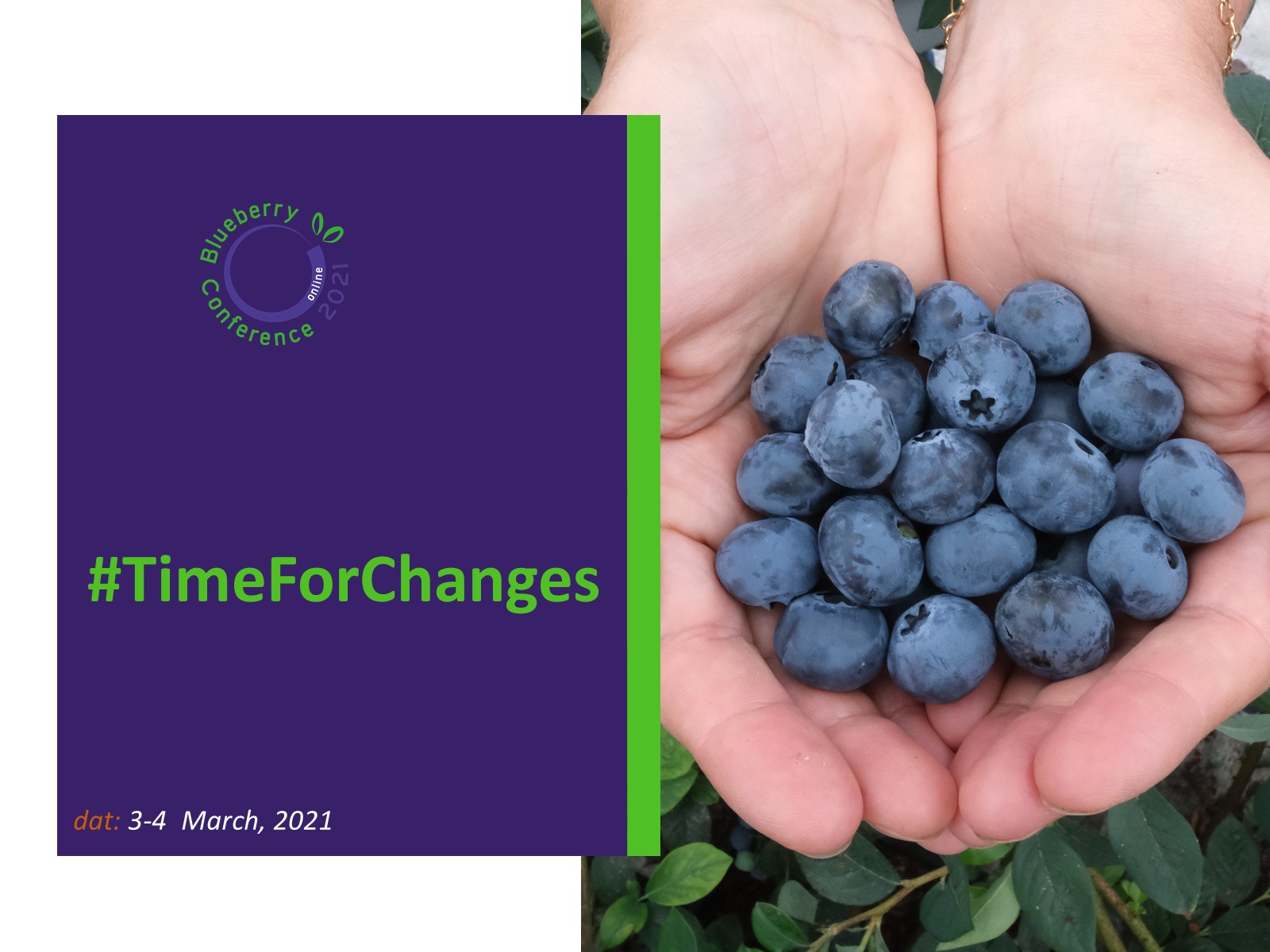 The International Highbush Blueberry Conference 2021