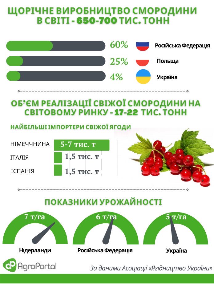 ціни на смородину