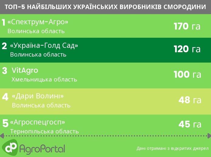 смородина ціна за кілограм