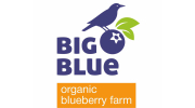big-blue