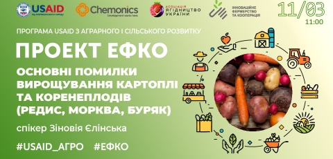 Основні помилки вирощування картоплі та коренеплодів (редис, морква, буряк)