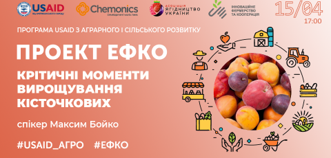 Критичні моменти вирощування кісточкових на прикладі абрикоса і персика