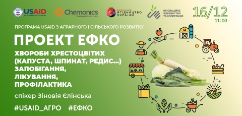 Тренінг Хвороби хрестоцвітих (капуста, шпинат, редис..) Запобігання, лікування, профілактика