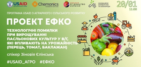 Технологічні помилки при вирощуванні пасльонових культур у відкритому ґрунті, які впливають на урожайність (перець, томат, баклажан)