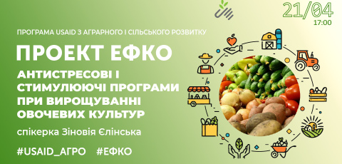 Антистресові і стимулюючі програми при вирощуванні овочевих культур
