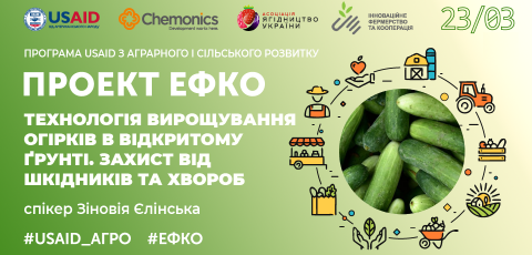  Технологія вирощування огірків у відкритому ґрунті. Захист від шкідників та хвороб 