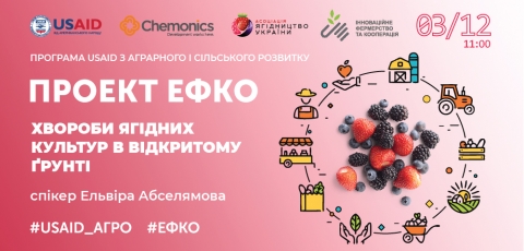 Тренінг «Хвороби ягідних культур в відкритому ґрунті» в рамках проекту #ЕФКО